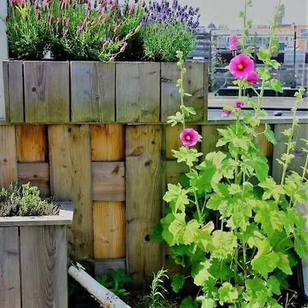 Onthaast & Geniet * Den Helder