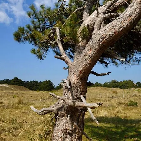 Onthaast & Geniet Apartmán