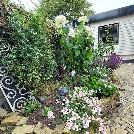 Onthaast & Geniet * Den Helder