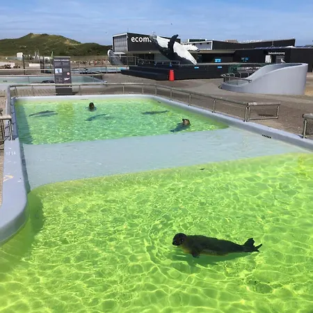 Onthaast & Geniet Apartamento Den Helder