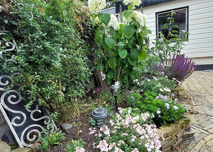 Onthaast & Geniet * Den Helder